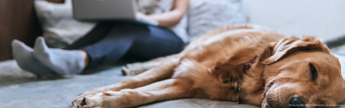 mental health blog banner